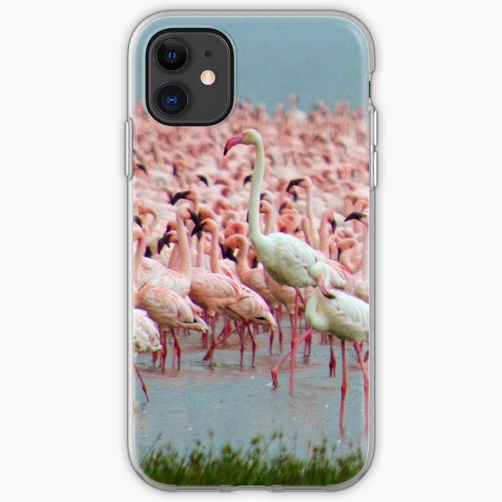 Flamingo iphone cover iPhone Case & Cover