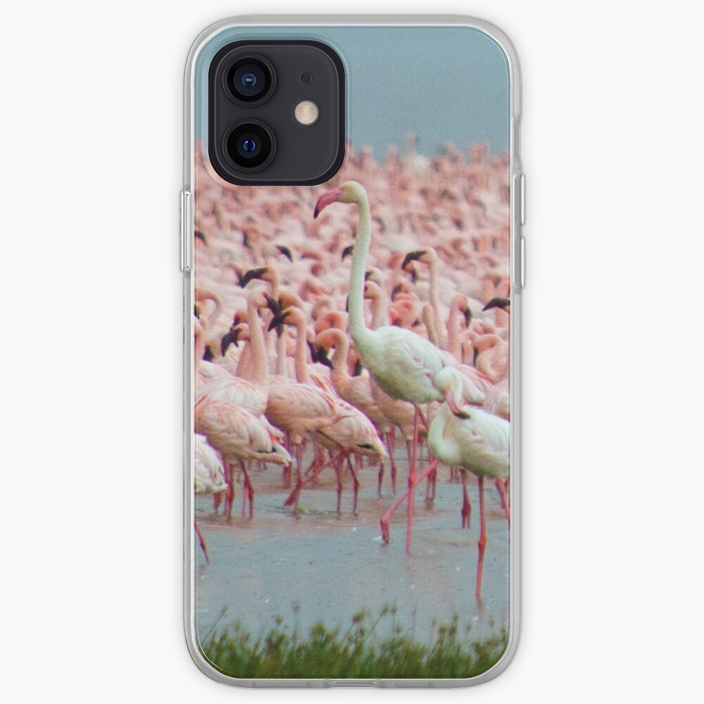 Flamingo iphone cover iPhone Case & Cover