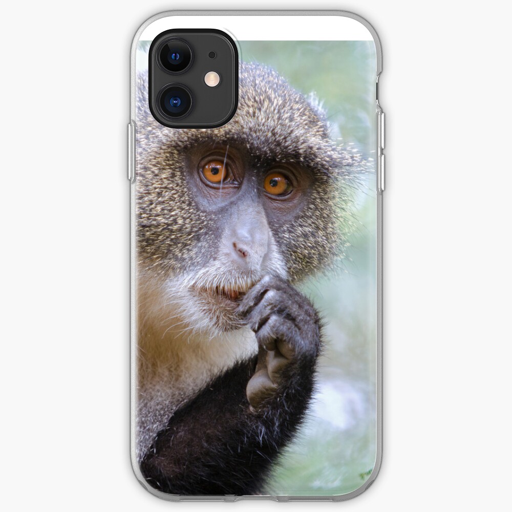 Sykes Monkey iPhone cover iPhone Case & Cover