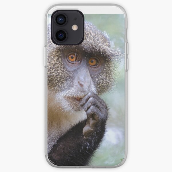 Sykes Monkey iPhone cover iPhone Soft Case