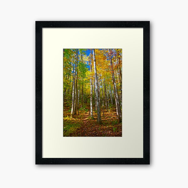 Invitation to a Quiet Walk Framed Art Print