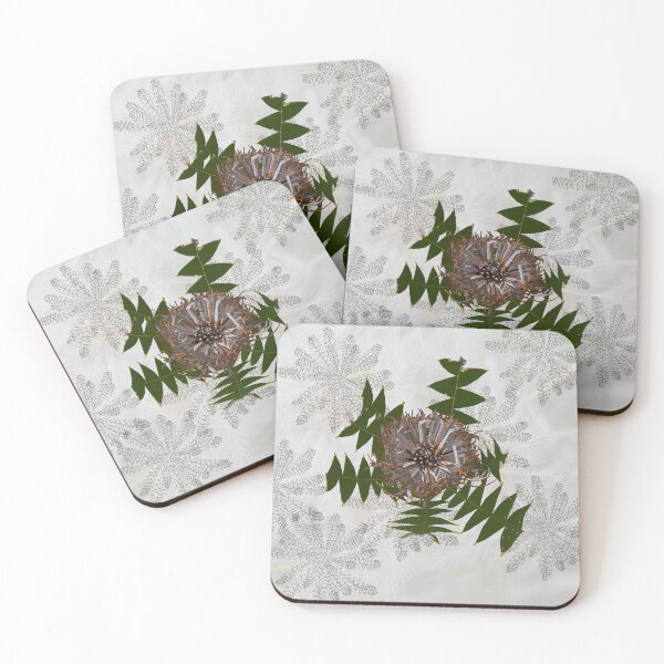 Item preview, Banksia baxteri, Cream Banksia Drawing, native flora, West Australian wildflower. designed and sold by Leonie Mac Lean.