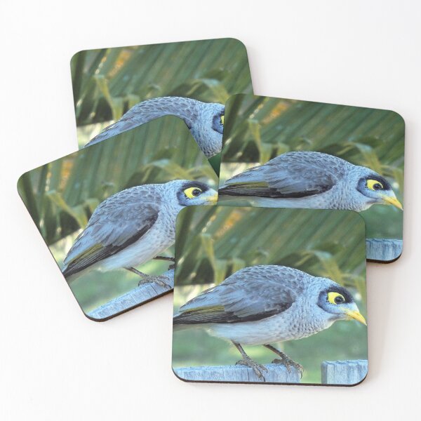 Item preview, Noisy miner bird designed and sold by Margaret Stevens.