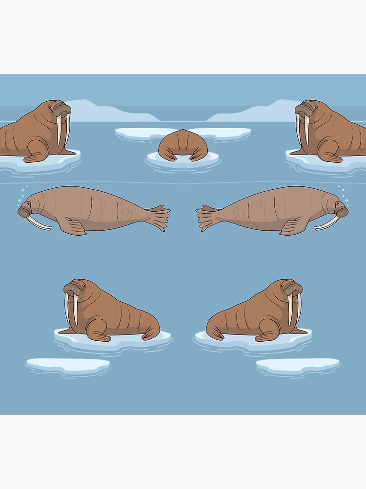 Pacific Walrus by ArtByBreah