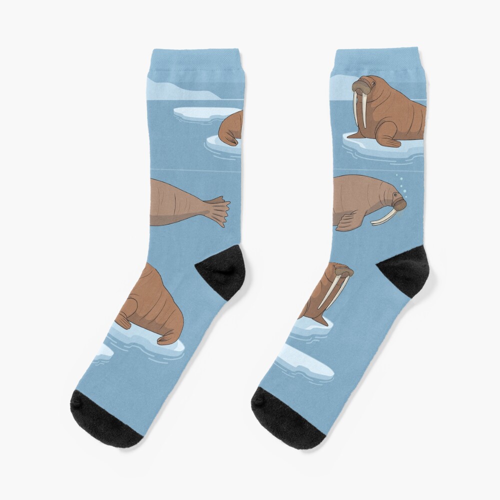 Pacific Walrus Socks