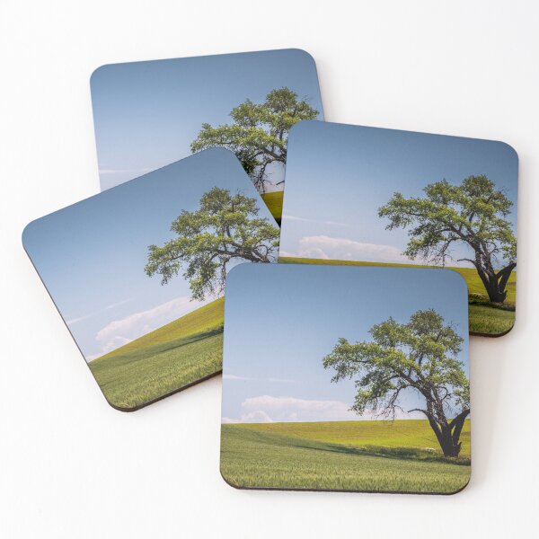 Item preview, Lone Tree at Washington designed and sold by Robin Mukherjee.