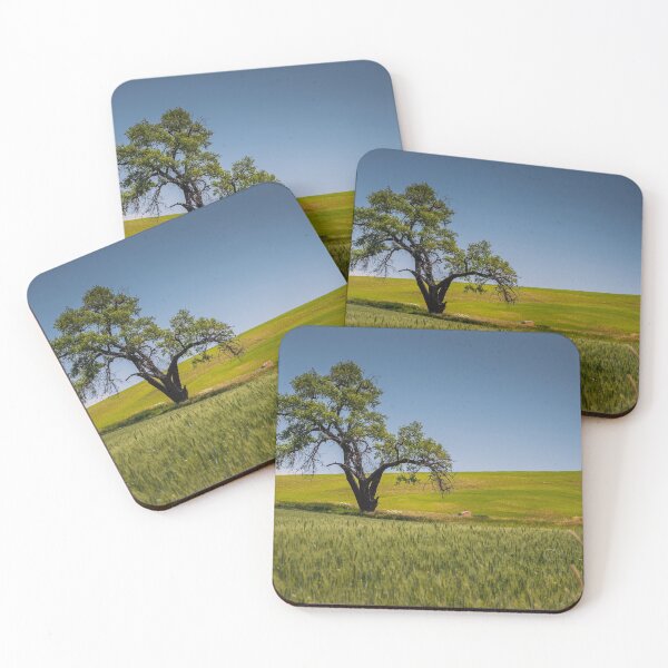 Item preview, Lone Tree at Washington designed and sold by Robin Mukherjee.