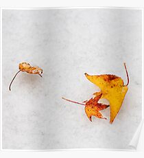 Nature is painting on white canvas Poster