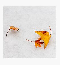 Nature is painting on white canvas Photographic Print