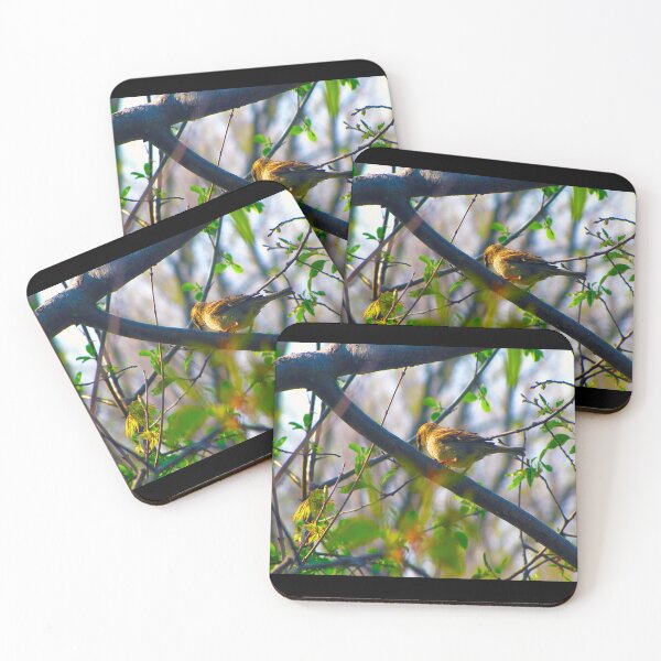 Item preview, Bird in the Wild designed and sold by Clickcreations.