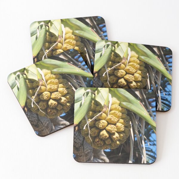 Item preview, Pandanus Fruit designed and sold by Margaret Stevens.
