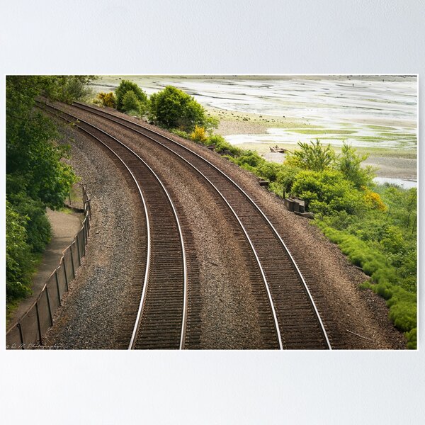 Item preview, Tracks designed and sold by Robin Mukherjee.