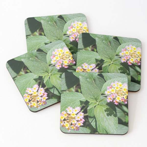 Item preview, Lantana designed and sold by Margaret Stevens.