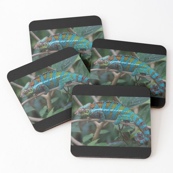 Item preview, Chameleon designed and sold by BMS320.