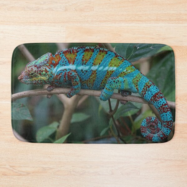 Item preview, Chameleon designed and sold by BMS320.