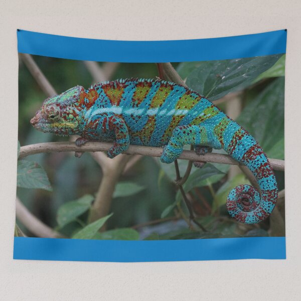 Item preview, Chameleon designed and sold by BMS320.