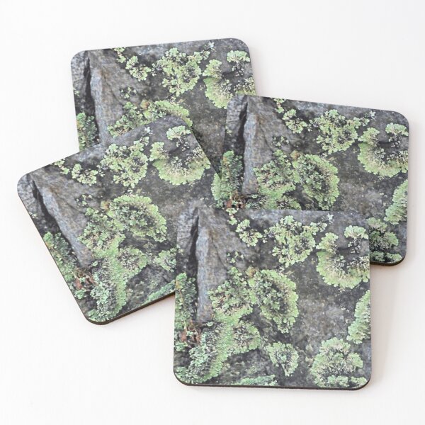 Item preview, Lichen on Rock designed and sold by Margaret Stevens.