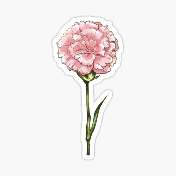 Item preview, Carnation designed and sold by Pykiin.