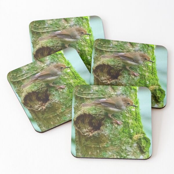 Item preview, Tiny Bird designed and sold by Adrian Alford Photography.