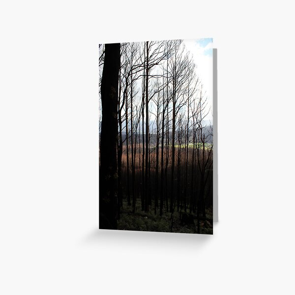 Post February 2009 Bushfires Victoria - Marysville July09 Greeting Card
