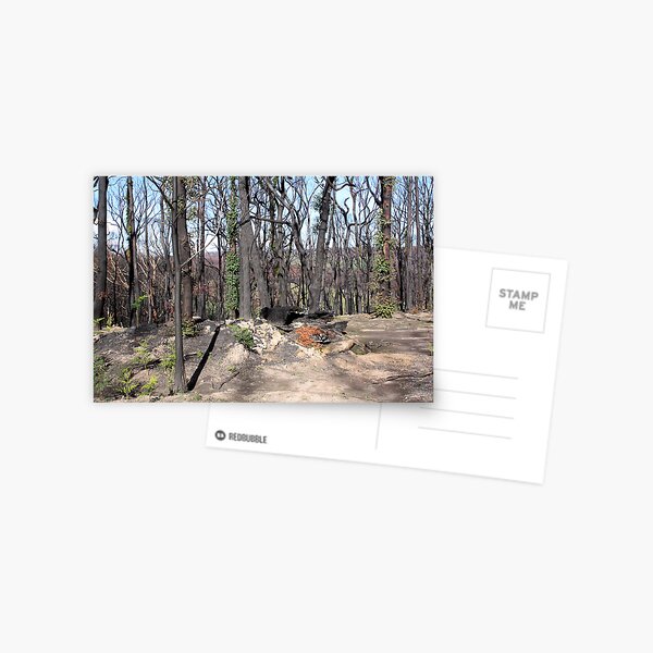 Post February 2009 Bushfires - west of Kinglake June09 Postcard