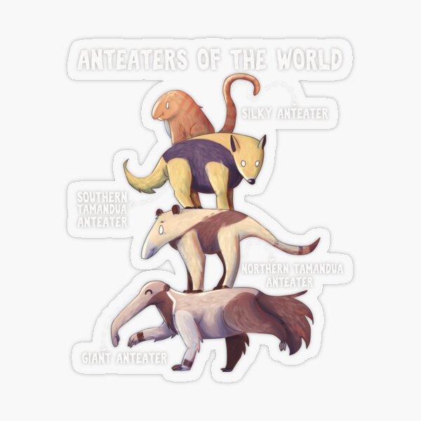 Flavvore Tamandua Pose | Sticker