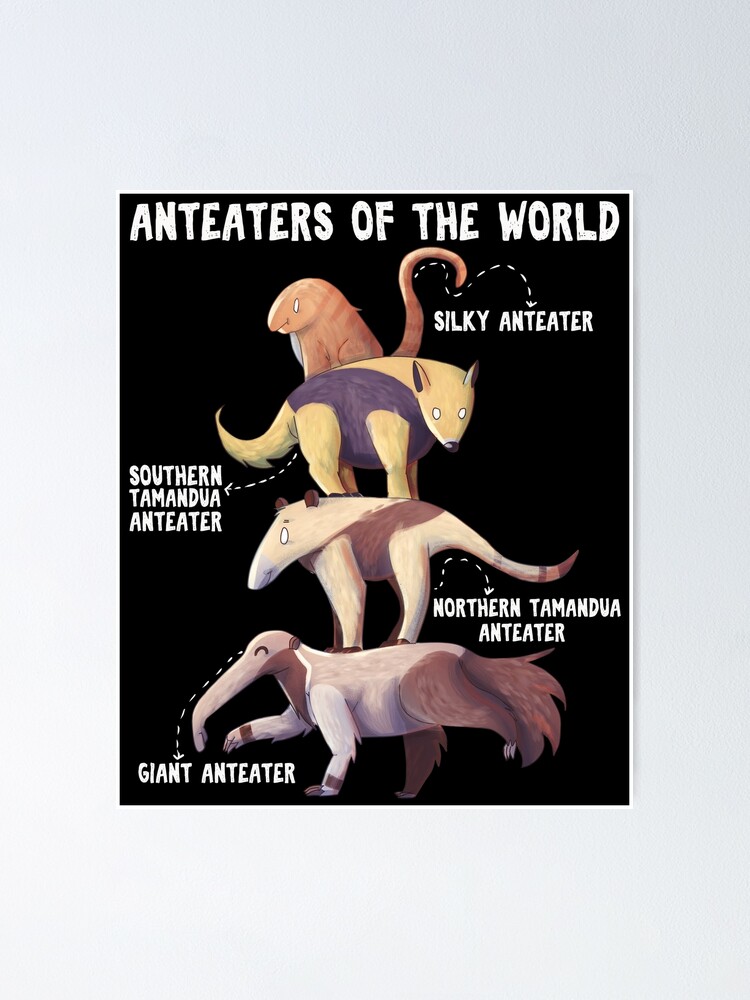 Anteater Southern Tamandua GIF - Anteater Southern Tamandua Cute