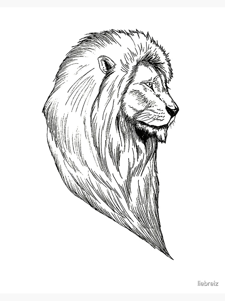 Tribal Lion Tattoos Images – Browse 24,305 Stock Photos, Vectors, and Video  | Adobe Stock