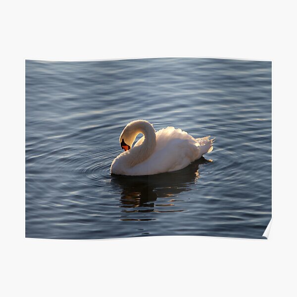 Peaceful Sunrise Poster