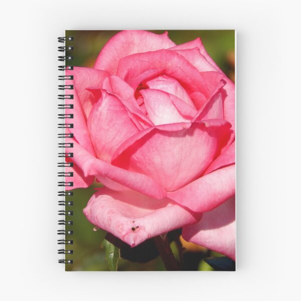 Item preview, Pink Rose   ^ designed and sold by ctheworld.