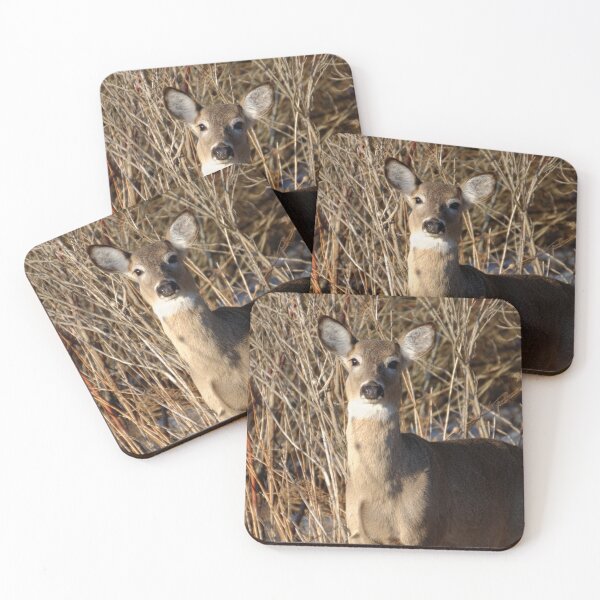 Item preview, White-tailed Deer - Ontario, Canada designed and sold by rodmacpherson.