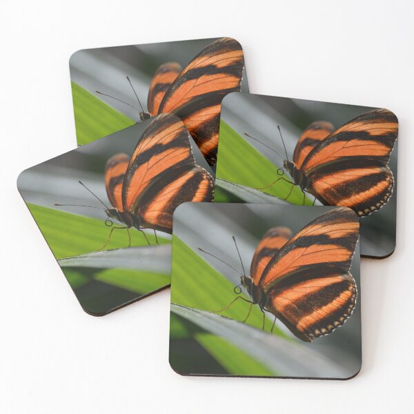 Item preview, Brown and Orange Butterfly designed and sold by rodmacpherson.
