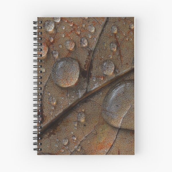 Item preview, Gotas de lluvia sobre la hoja caída. designed and sold by Rob-Turner.