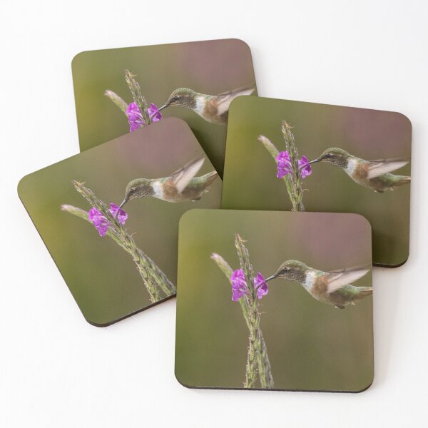 Item preview, Volcano Hummingbird designed and sold by Glenn Welch.