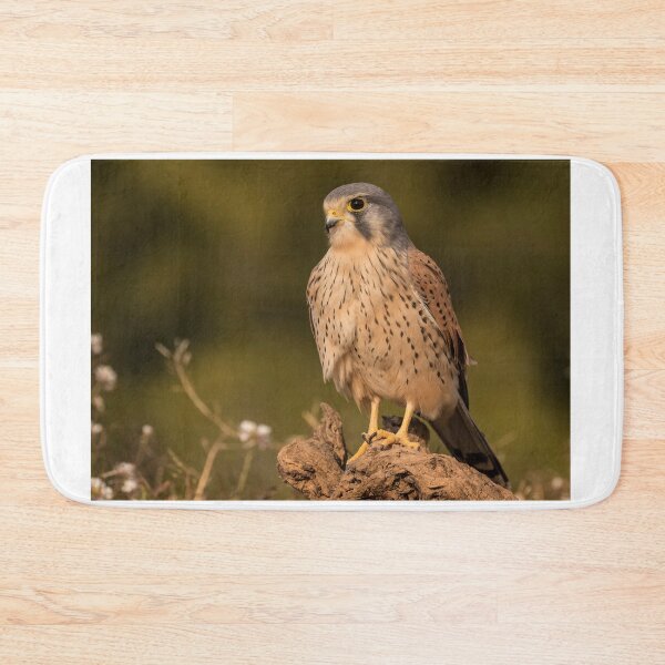 Item preview, Kestrel designed and sold by Glenn Welch.