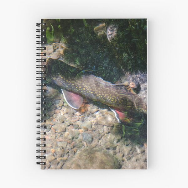 Item preview, fly fishing only designed and sold by Jeannie Peters.