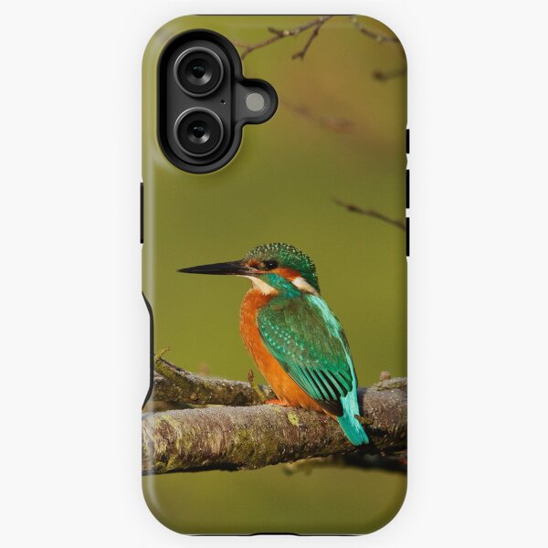 Kingfisher iPhone Case iPhone Tough Case