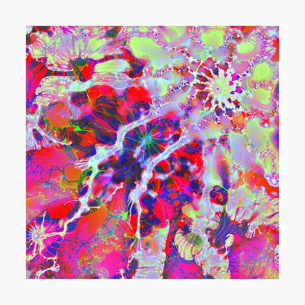 Fractalize Crimson Photographic Print