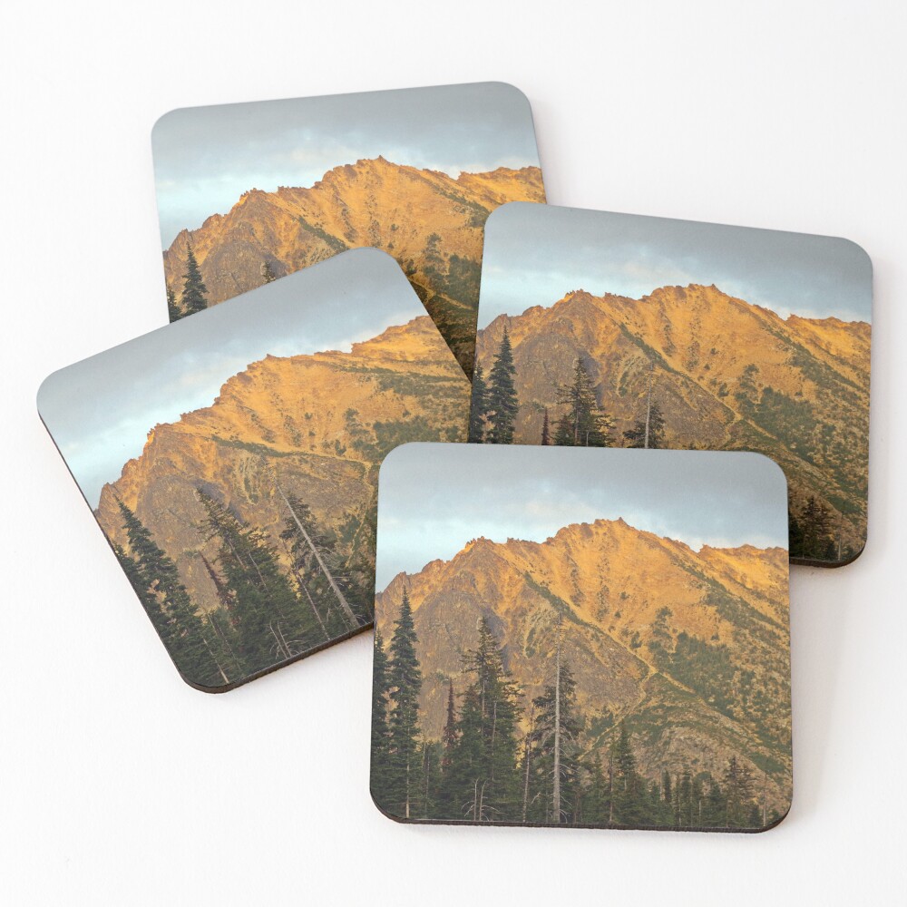 Item preview, Coasters (Set of 4) designed and sold by VikingVisual.
