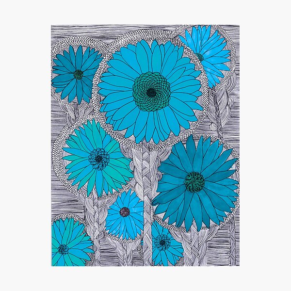 Gerbera Daisy-Teal Photographic Print