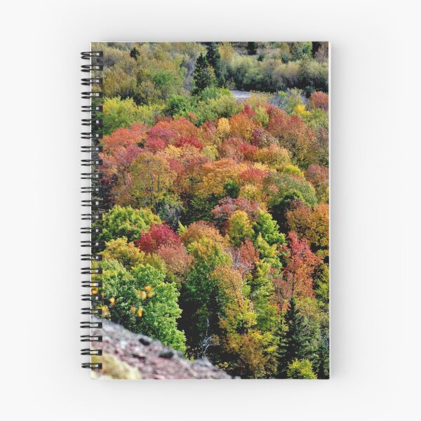 Item preview, An Autumn Canopy designed and sold by Kathleen Daley.