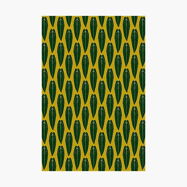Item preview, Houseplant Queen Anthurium Warocqueanum Design designed and sold by Chee Sim.