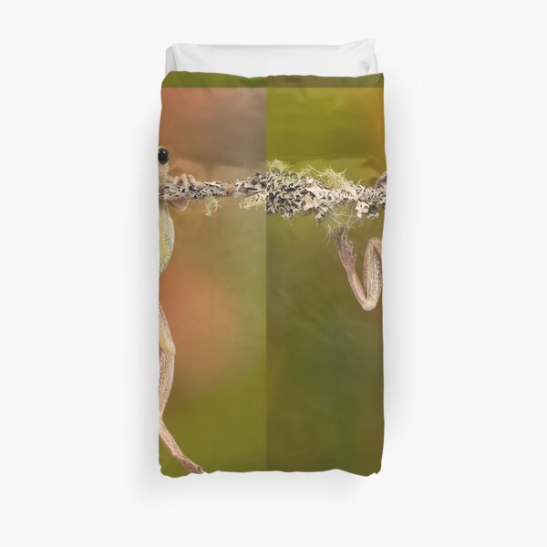 Cuban tree frog hanging on branch Duvet Cover