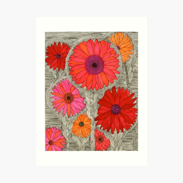 Gerbera Daisy Art Print