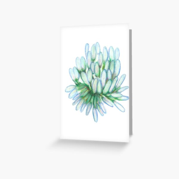 Clover Greeting Card