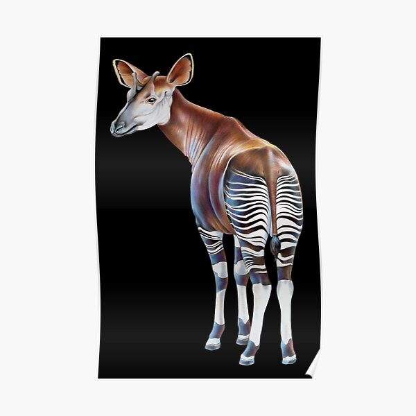 Okapi Poster
