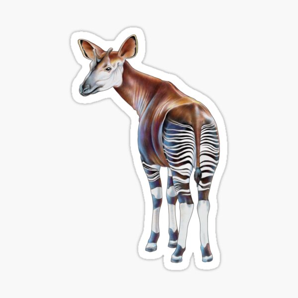 Okapi Sticker