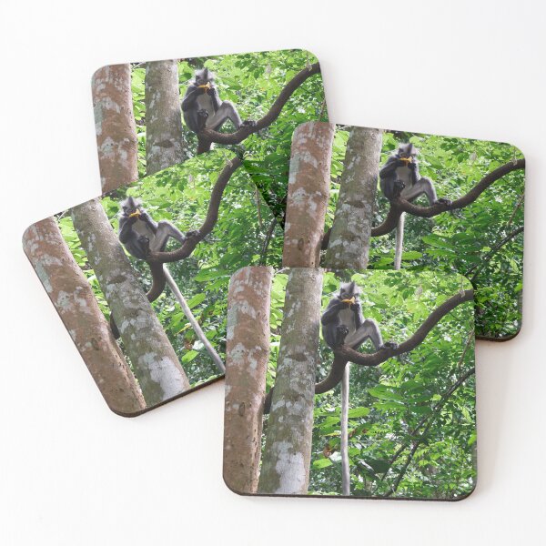 Item preview, "The art of reading a banana" staring the funky monkey! 3 of 3 designed and sold by Andreas Koerner.