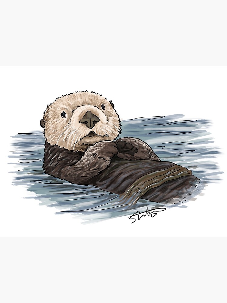 "Sea Otter Sketch" Poster for Sale by slaterza Redbubble