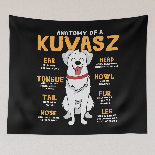 Item preview, Anatomy of Kuvasz Dog designed and sold by rafaeltto.